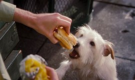 Hotel for Dogs: Official Clip - How to Steal Food