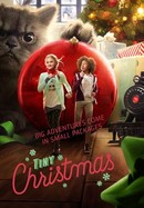 Tiny Christmas poster image