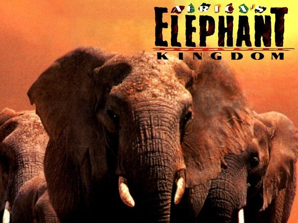 Africa's Elephant Kingdom | Rotten Tomatoes