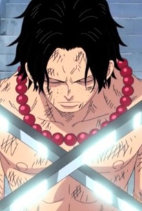 One Piece Season 14 Episode 17 Rotten Tomatoes