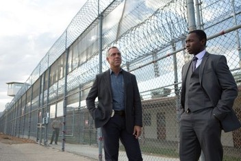 Bosch Season 1 Rotten Tomatoes