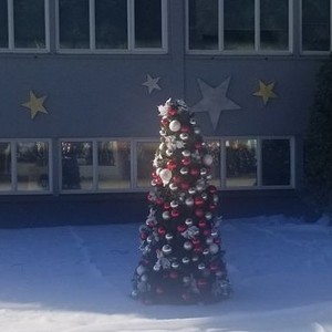 A Christmas Tree Grows in Colorado (2020) photo 1