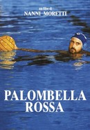 Palombella rossa poster image