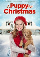 A Puppy for Christmas poster image