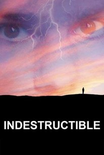 Indestructible poster