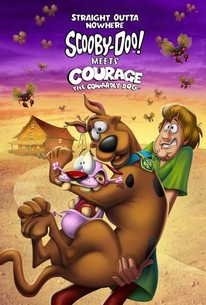 movie cover art