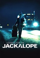 Looking for the Jackalope poster image