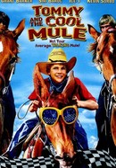 Tommy and the Cool Mule poster image