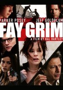 Fay Grim poster image