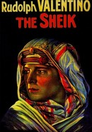 The Sheik poster image