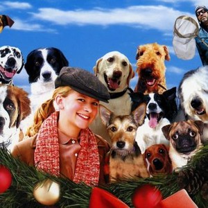 The 12 Dogs of Christmas photo 4