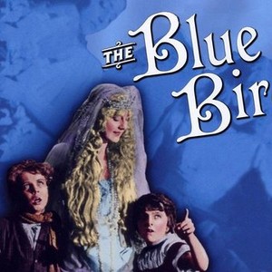 The Blue Bird - Rotten Tomatoes