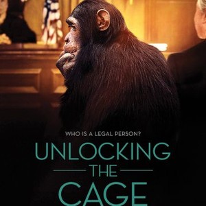 Unlocking the Cage photo 2