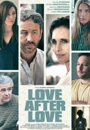 Love After Love poster image