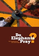 Do Elephants Pray? poster image