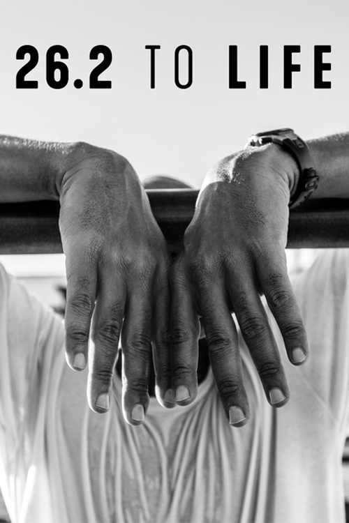 26.2 to Life poster