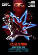 Ninja III: The Domination (1984) - Posters — The Movie Database (TMDB)