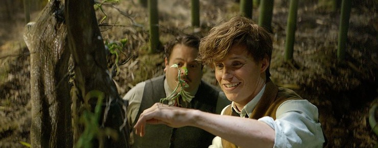 Fantastic Beasts And Where To Find Them 2016 Rotten Tomatoes