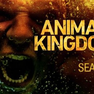 Animal Kingdom - Rotten Tomatoes