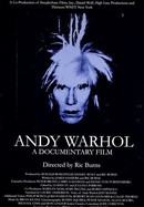 Andy Warhol: A Documentary Film poster image