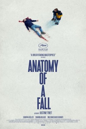 Anatomy of a Fall poster