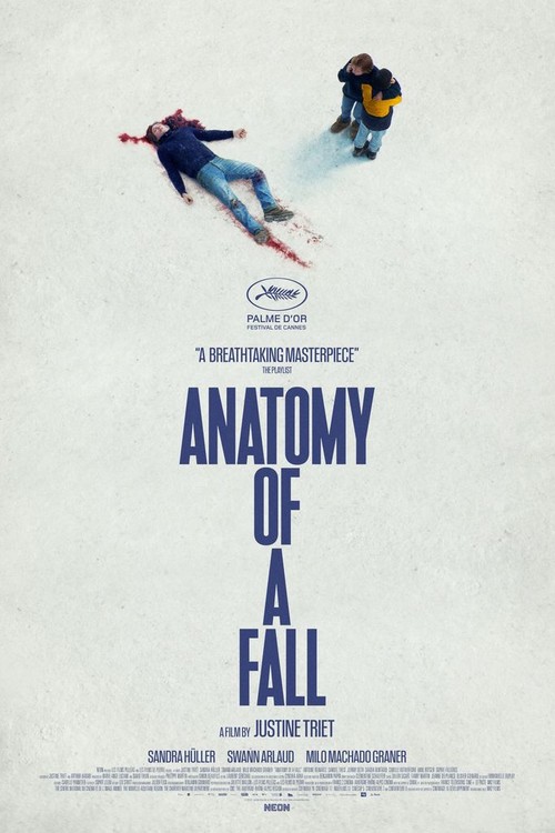 Anatomy of a Fall poster