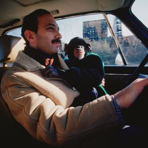 A scene from "Project Nim." photo 17