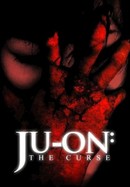 Ju-on: The Curse poster image