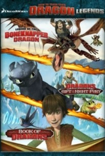 Dreamworks How To Train Your Dragon Legends