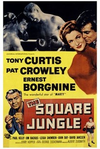 Watch trailer for The Square Jungle