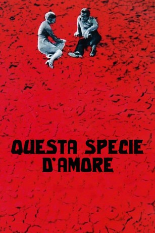 Questa specie d'amore | Rotten Tomatoes