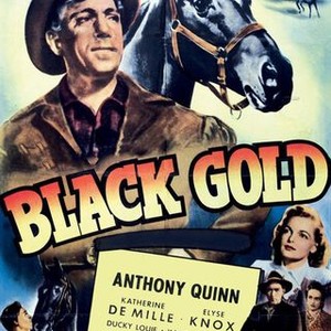Black Gold (1947) photo 9