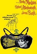 The Bliss of Mrs. Blossom poster image