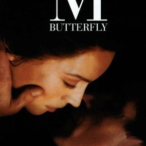 m butterfly play