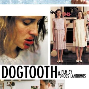 "Dogtooth photo 10"