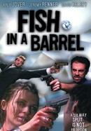 Fish in a Barrel poster image