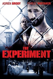 the experiment 2010 rotten tomatoes