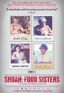 Shoah: Four Sisters poster image