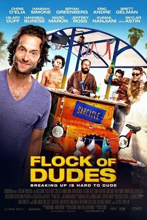 Flock of Dudes poster