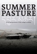 Summer Pasture poster image
