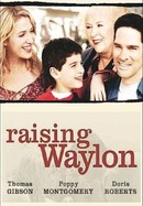 Raising Waylon poster image