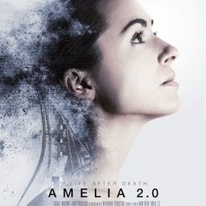 Amelia 2.0 photo 13