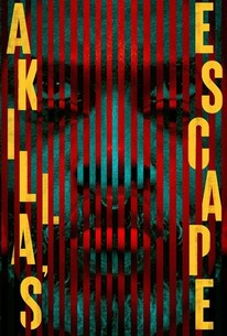 Akilla's Escape poster
