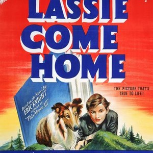Lassie Come Home (1943) photo 14