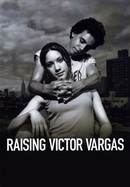 Raising Victor Vargas poster image