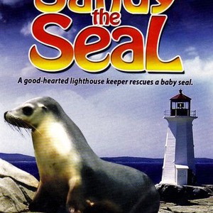 Sandy the Seal photo 6