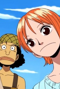 One Piece: Season 7, Episode 29 - Rotten Tomatoes