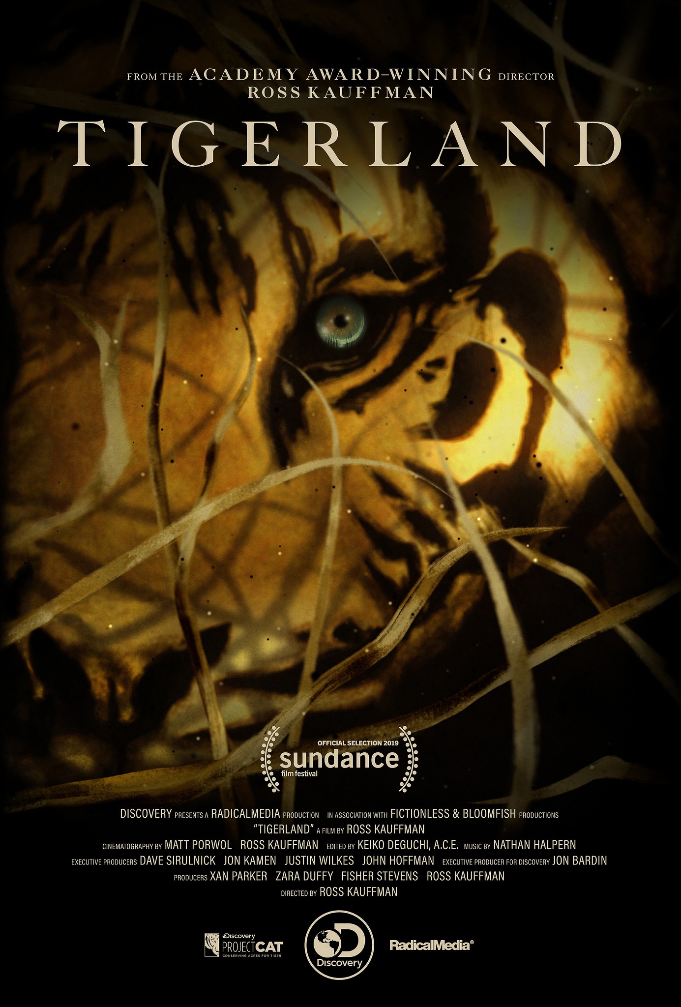 Tigerland (2019) Rotten Tomatoes