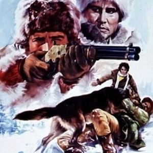 White Fang to the Rescue photo 10