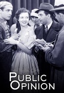 Public Opinion poster image